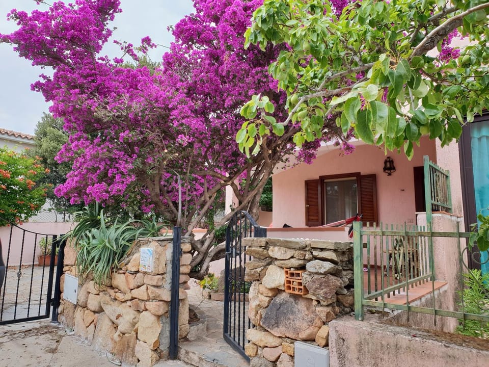 Casa vacanze San Teodoro House in Sardinia