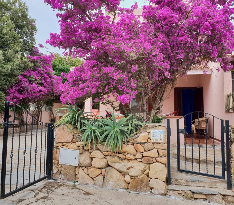 Casa vacanze San Teodoro House in Sardinia