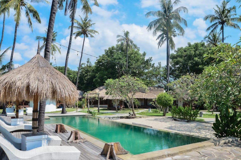 Day, Garden, Swimming pool
