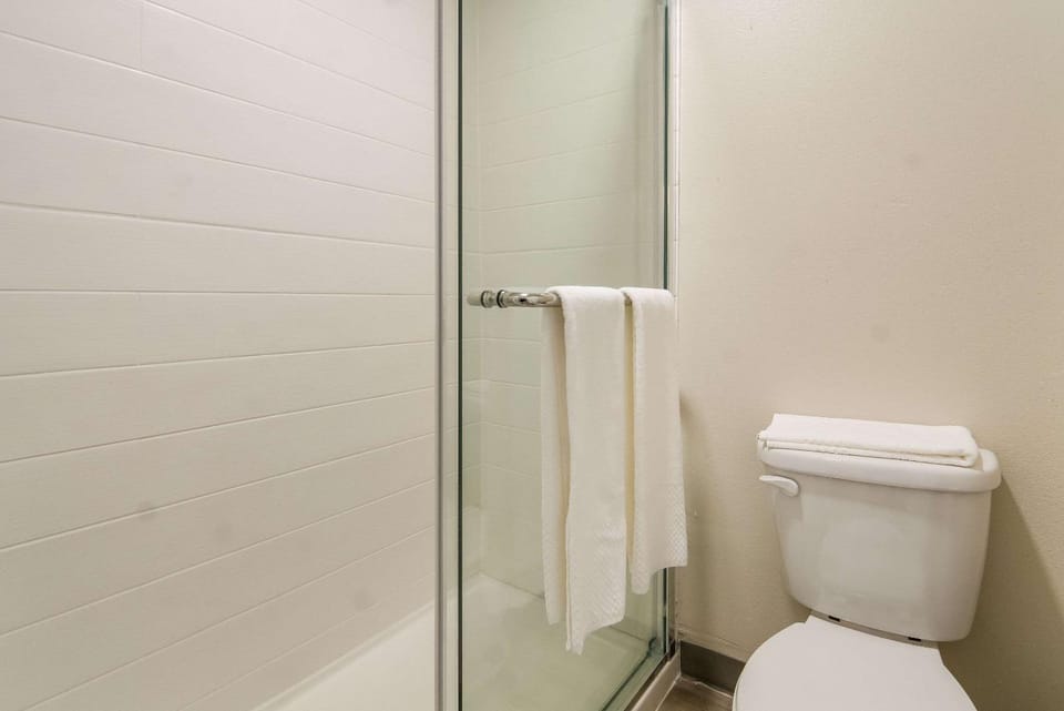 Bathroom, Photo of the whole room, On site