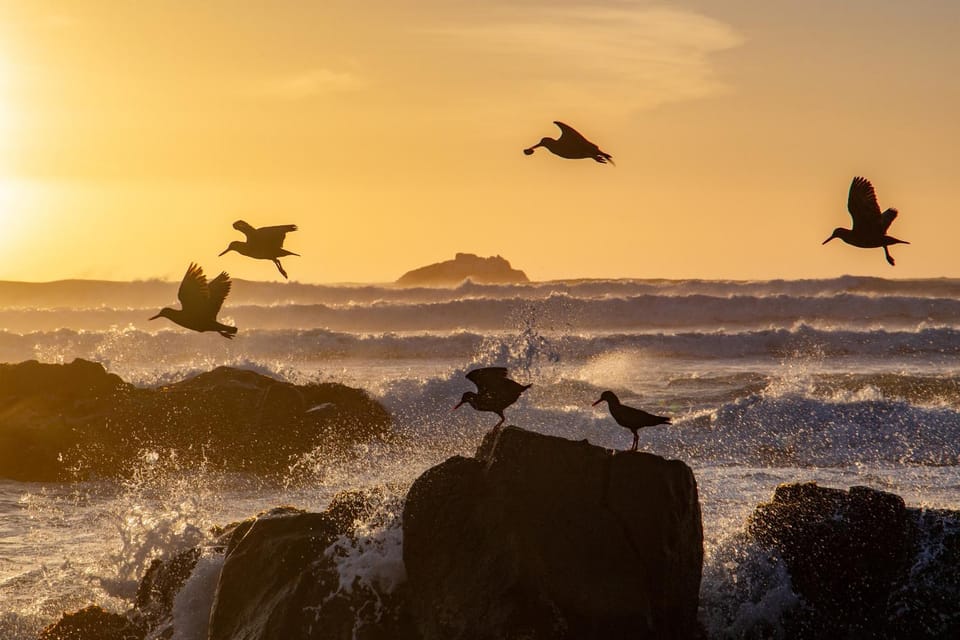 Natural landscape, Sunset