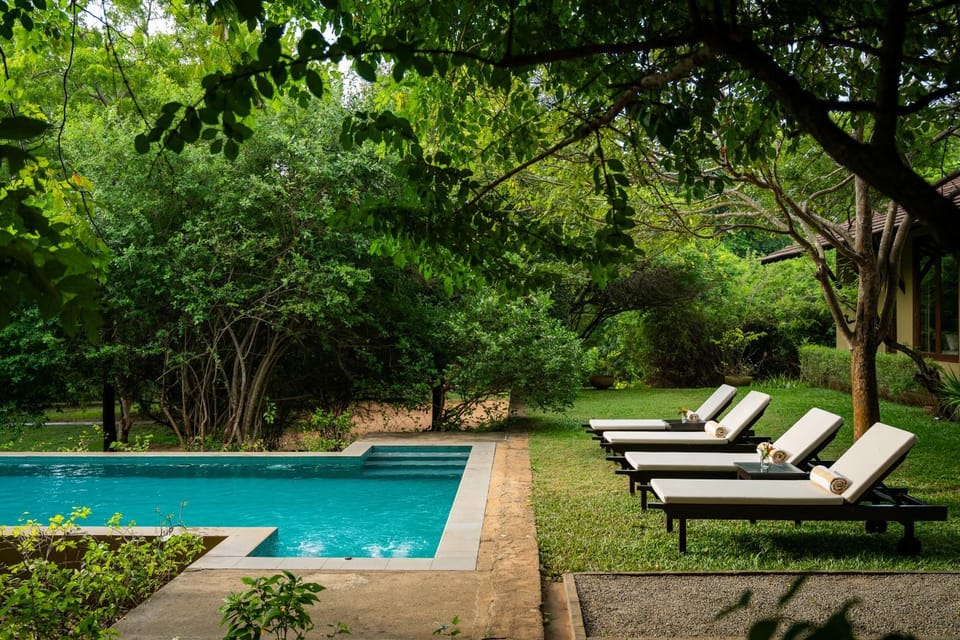 Day, Garden view, Pool view, Swimming pool, sunbed