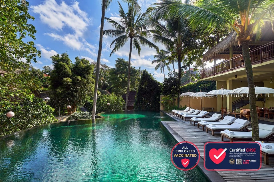 Pool view, Swimming pool, sunbed