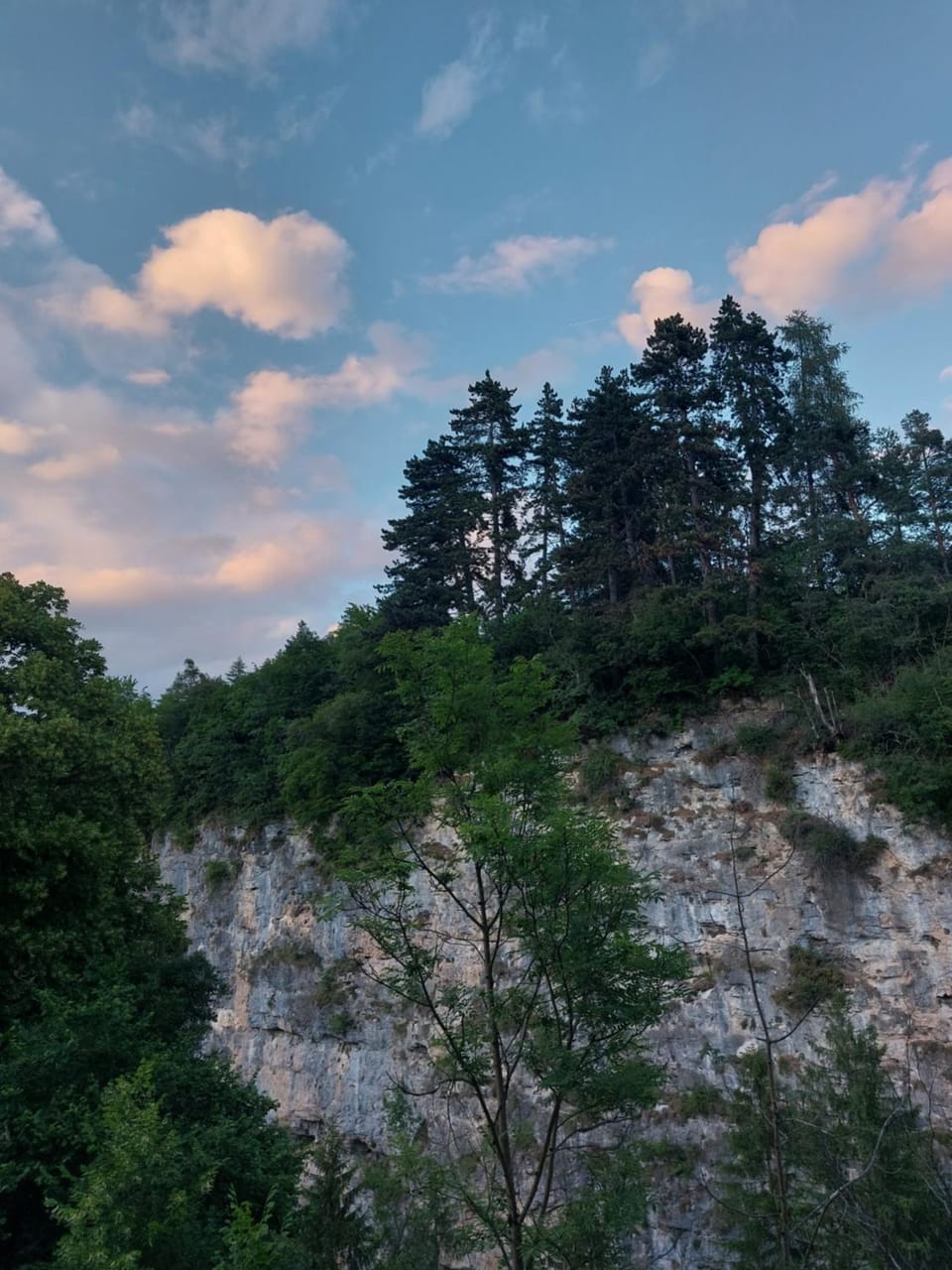 Room&Breakfast Al Canyon Bed and Breakfast in Trentino-South Tyrol