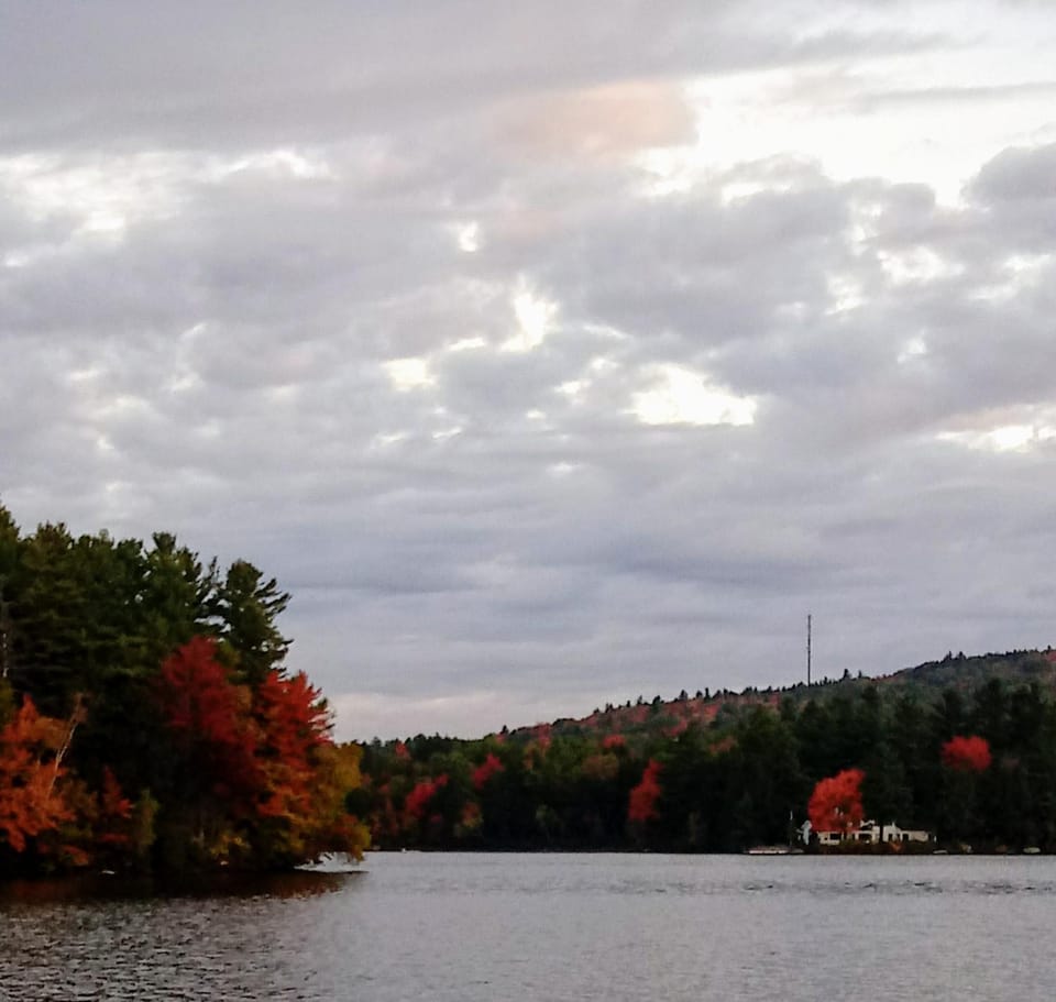 Maple Hill Farm Bed & Breakfast Bed and Breakfast in New London