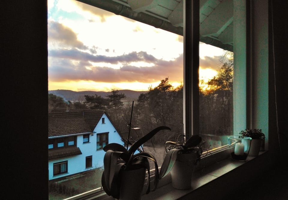 Neighbourhood, Natural landscape, View (from property/room), Garden view