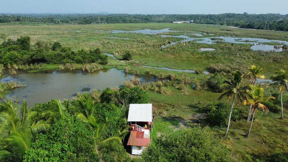 Three Little Birds Bed and Breakfast in Southern Province