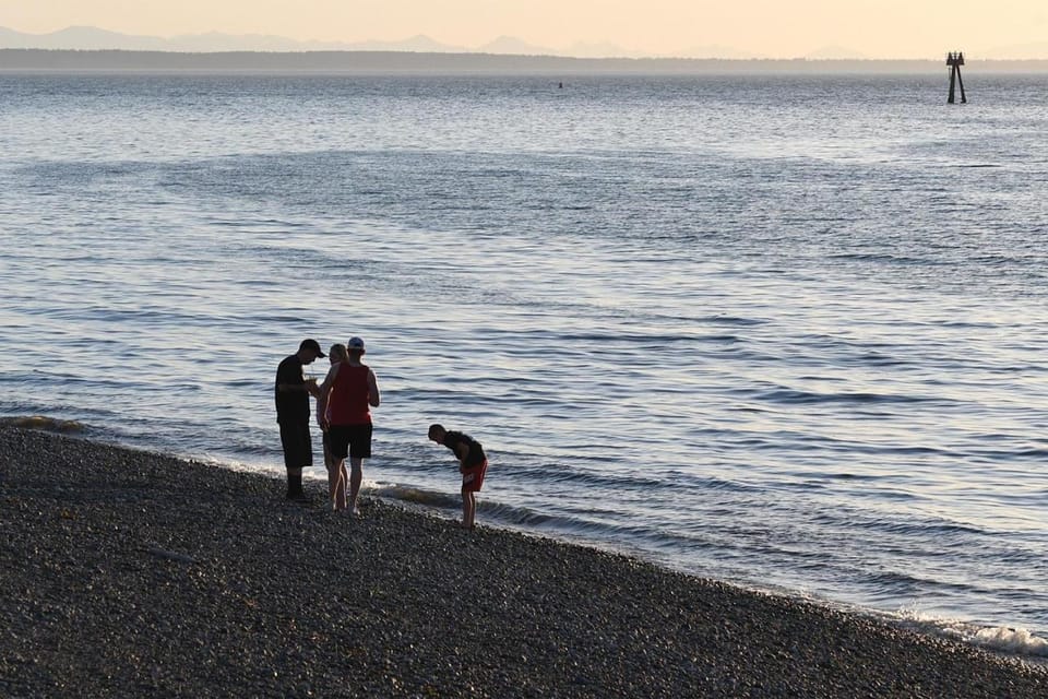 Beach, Sea view