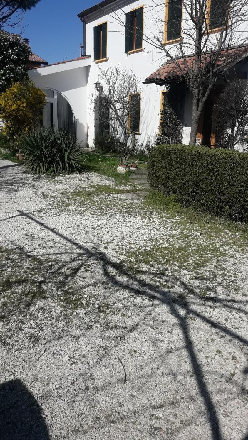 Room Garden Bed and Breakfast in Padua