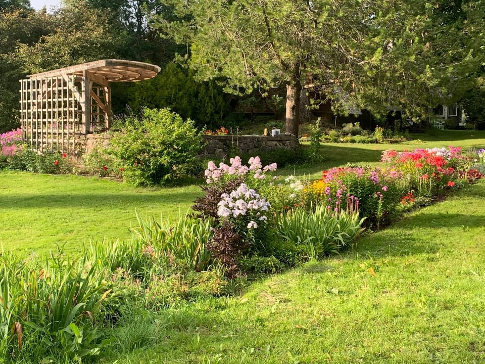 Garden view