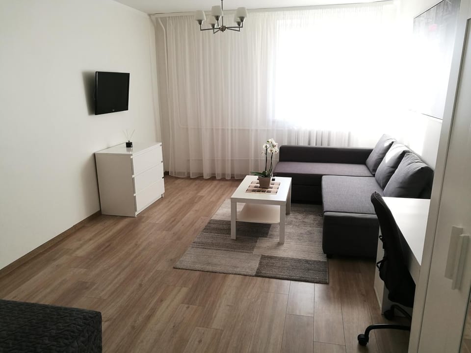 Vilnius Town Apartment Apartment in Vilnius