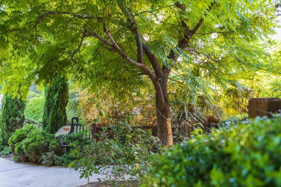 Natural landscape, Garden