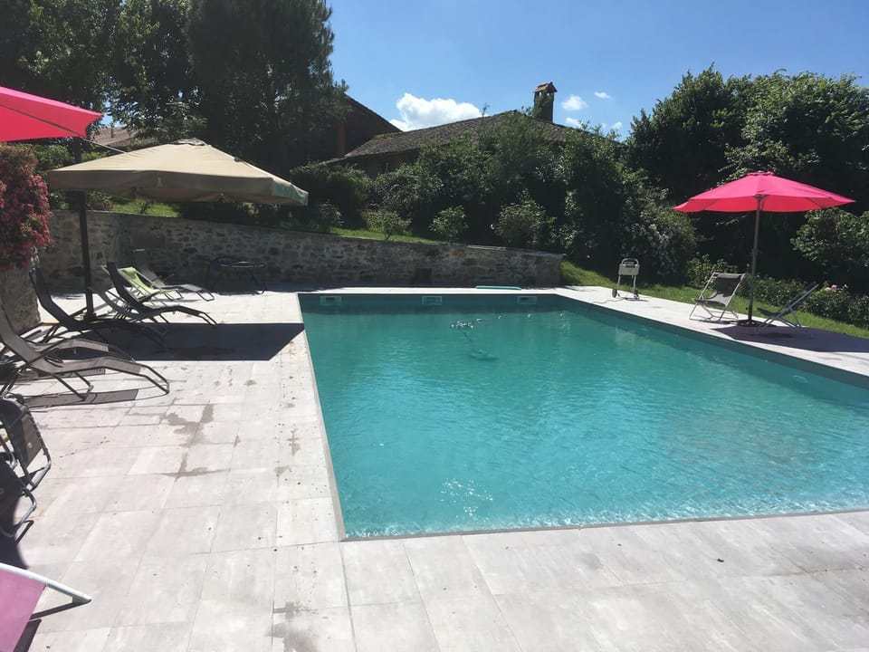 Garden, Pool view, Swimming pool, sunbed