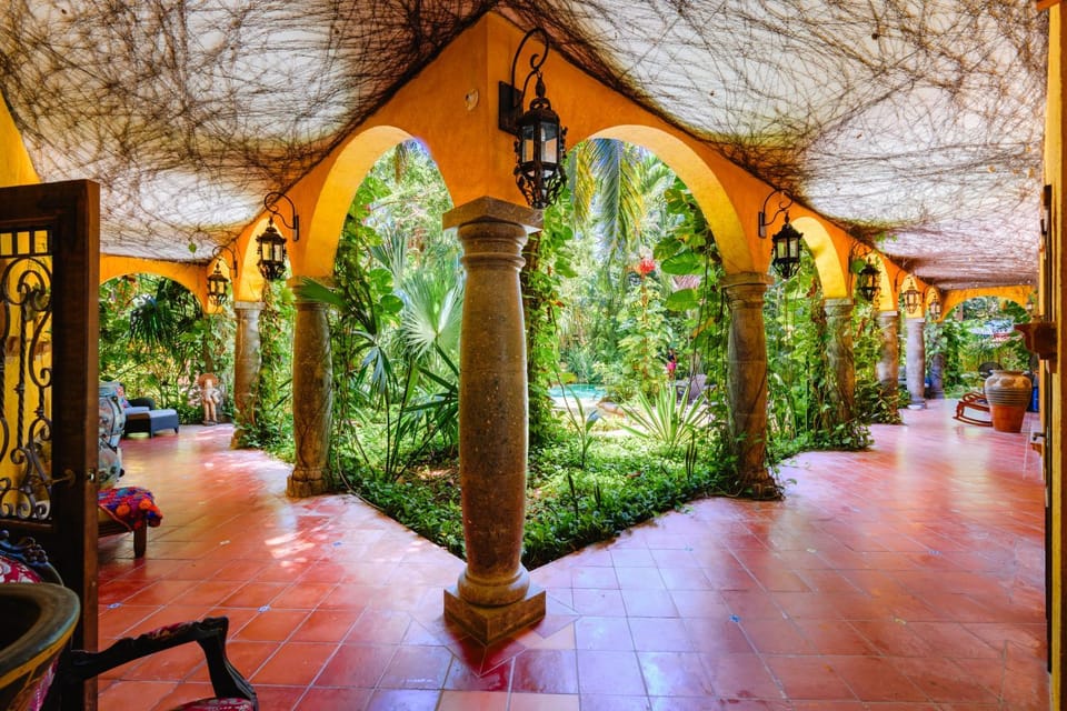 Patio, Day, Garden, Garden view