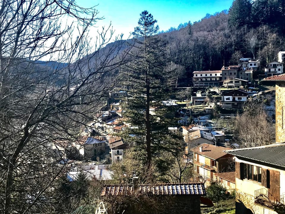 Mountain view