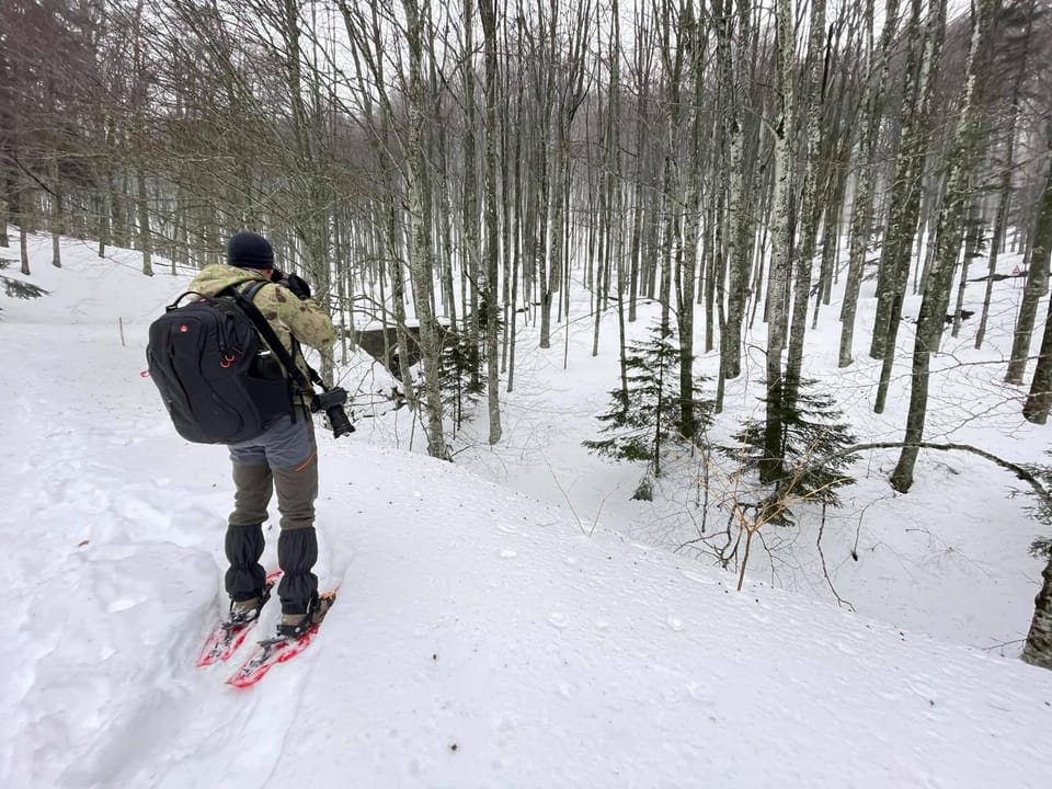 People, Winter, Skiing