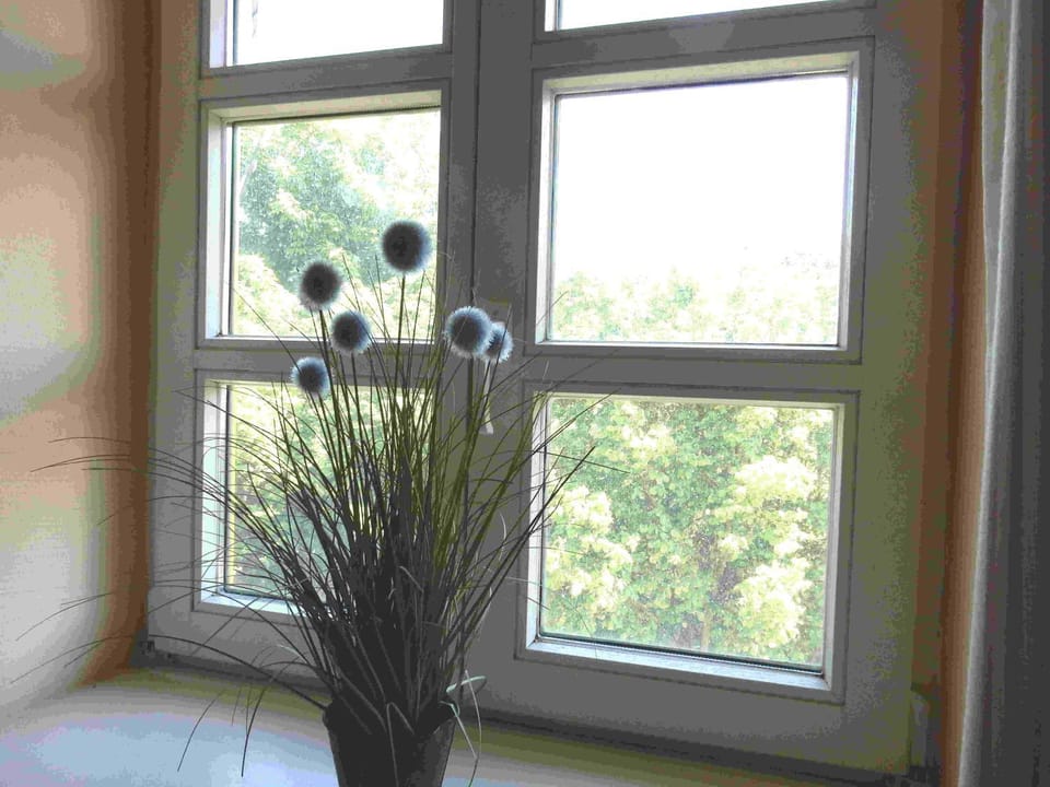 Ferienparadies Rugana A08 Apartment in Mecklenburg-Vorpommern, Germany