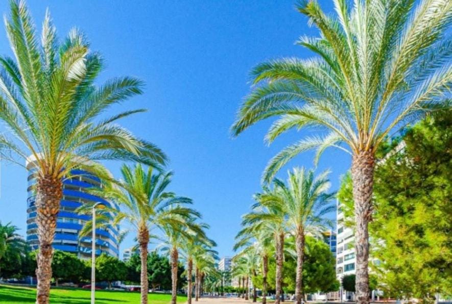 Benidorm beach segunda linia Apartment in Marina Baixa