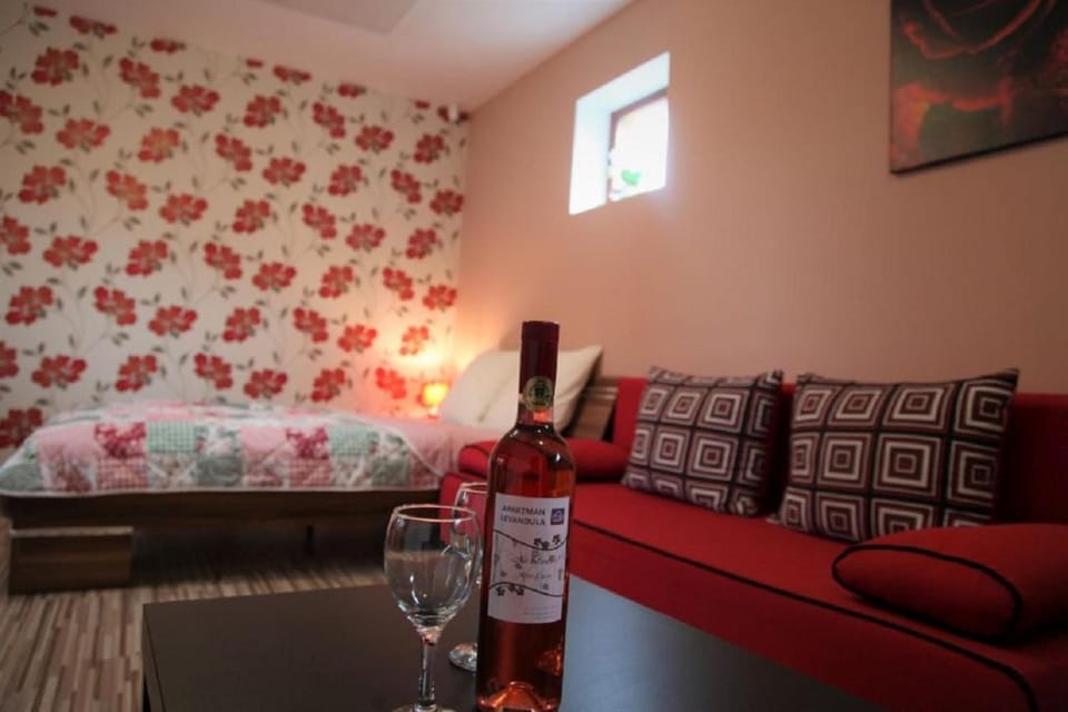 Apartman Levandula Apartment in Slovakia