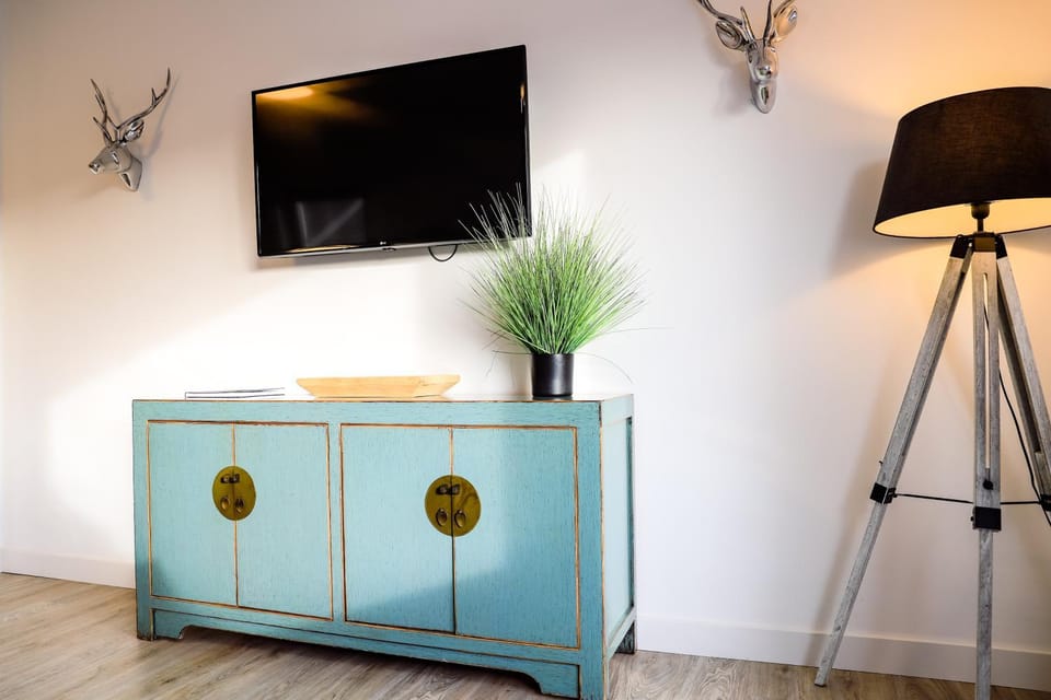 TV and multimedia