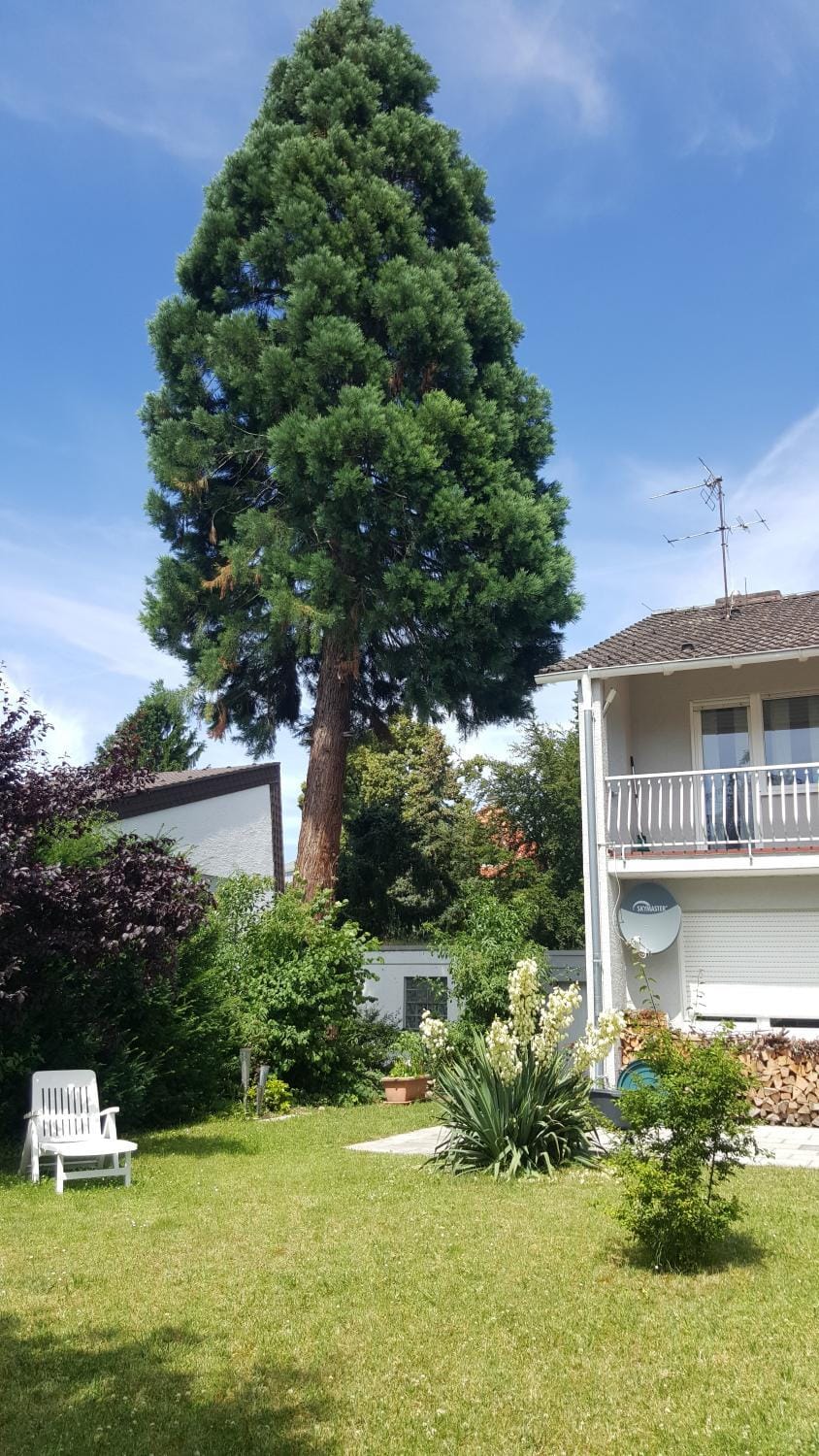 Property building, Other, On site