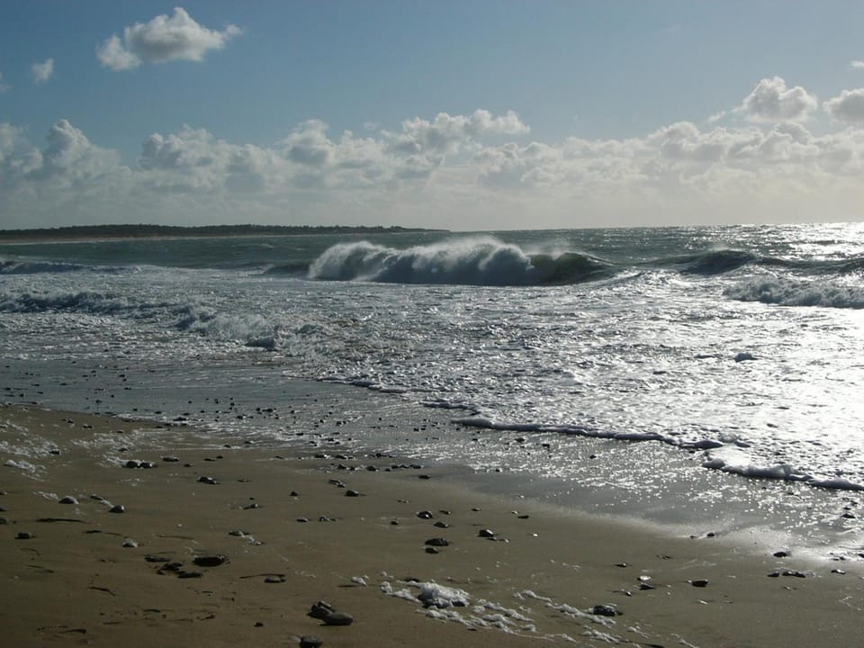 Hôtel de la Petite Plage Hotel in Saint-Georges-d'Oléron