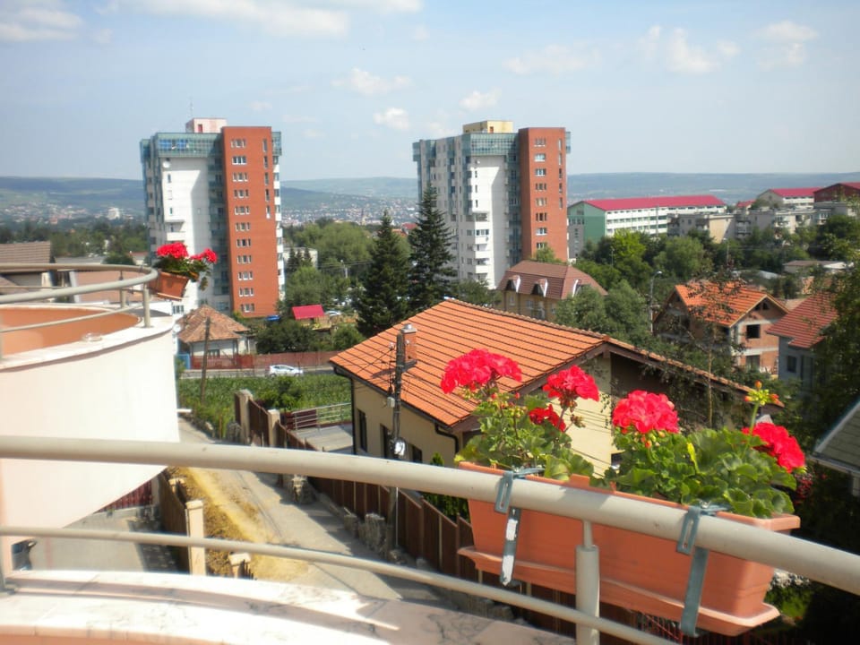 View (from property/room), Balcony/Terrace