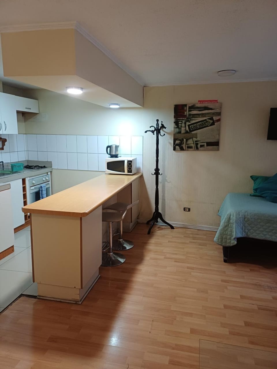 Centrico Y Amplio Apartment Apartment in Santiago