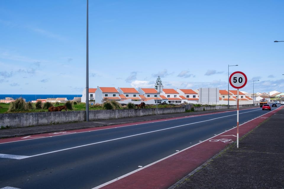 Areal de Santa Bárbara Guest House Bed and Breakfast in Azores District