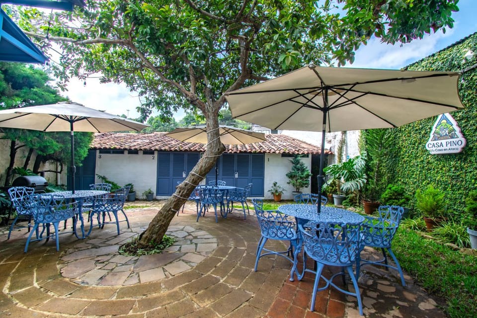 Garden, Garden, Garden view, Garden view