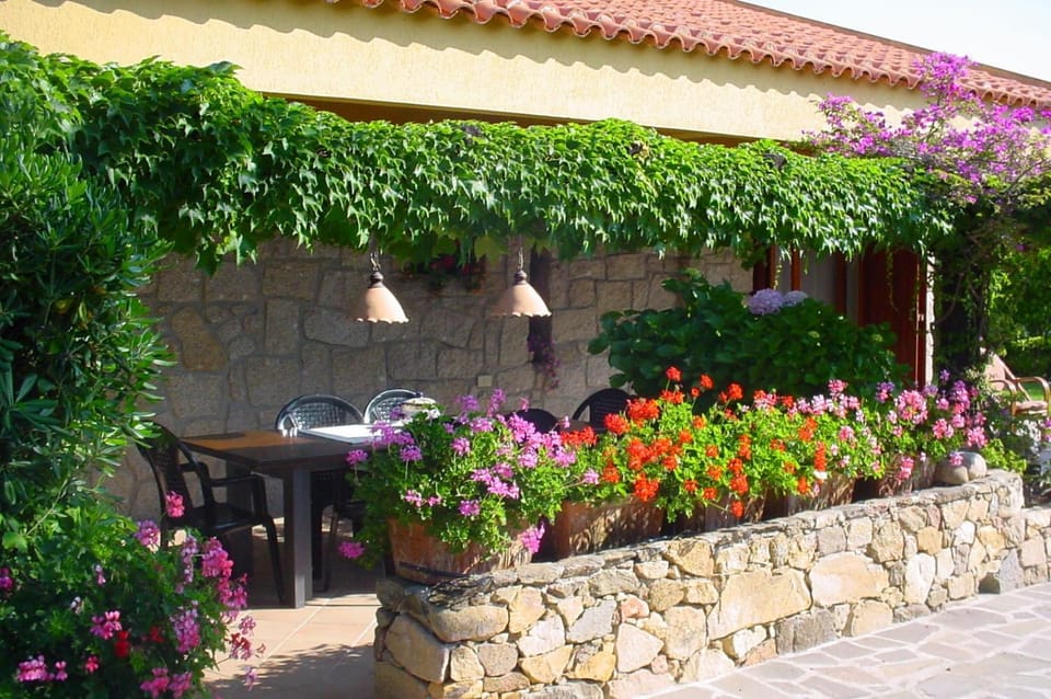 Garden, Dining area