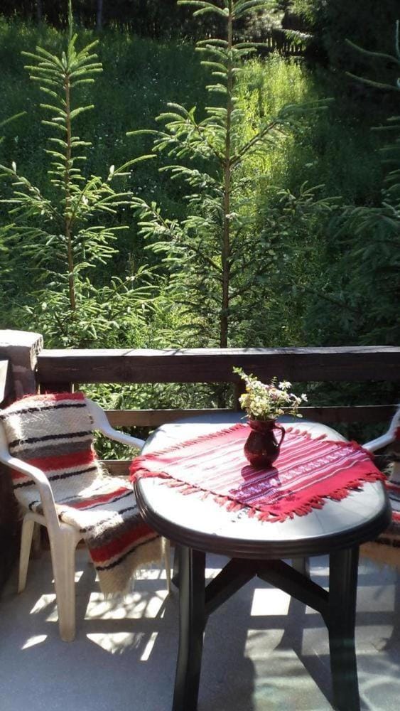 Patio, Day