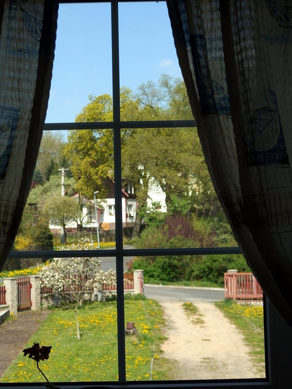 Spring, View (from property/room), Garden view