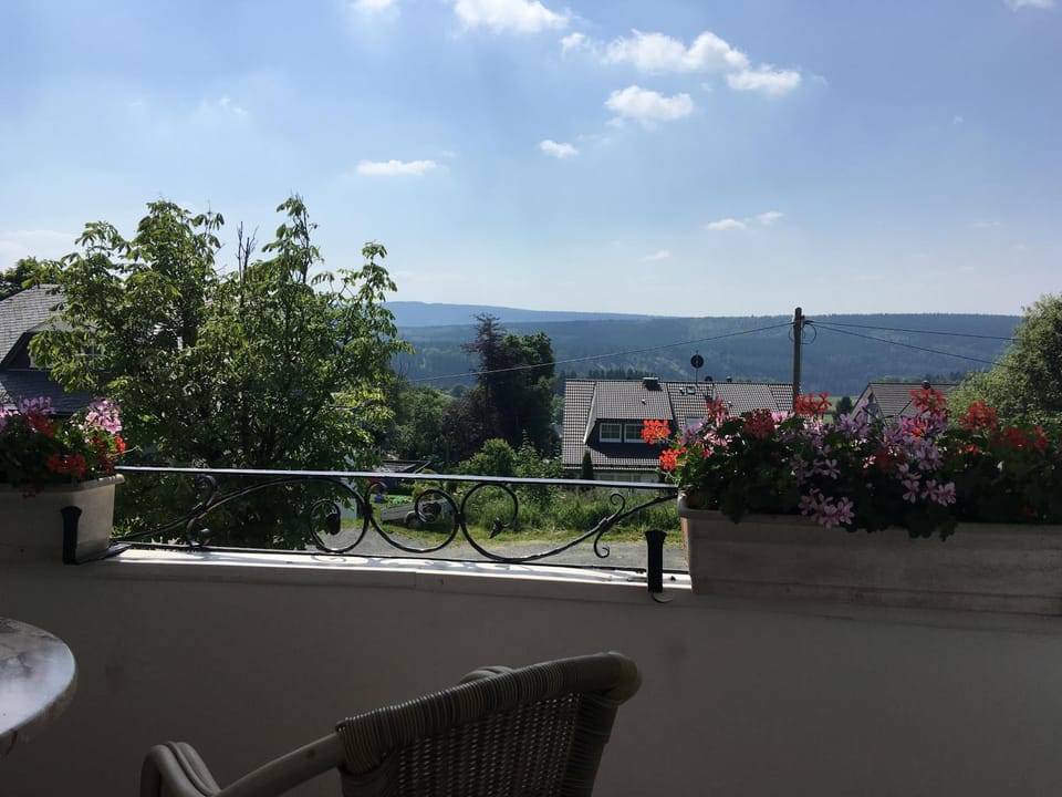 Balcony/Terrace, Mountain view