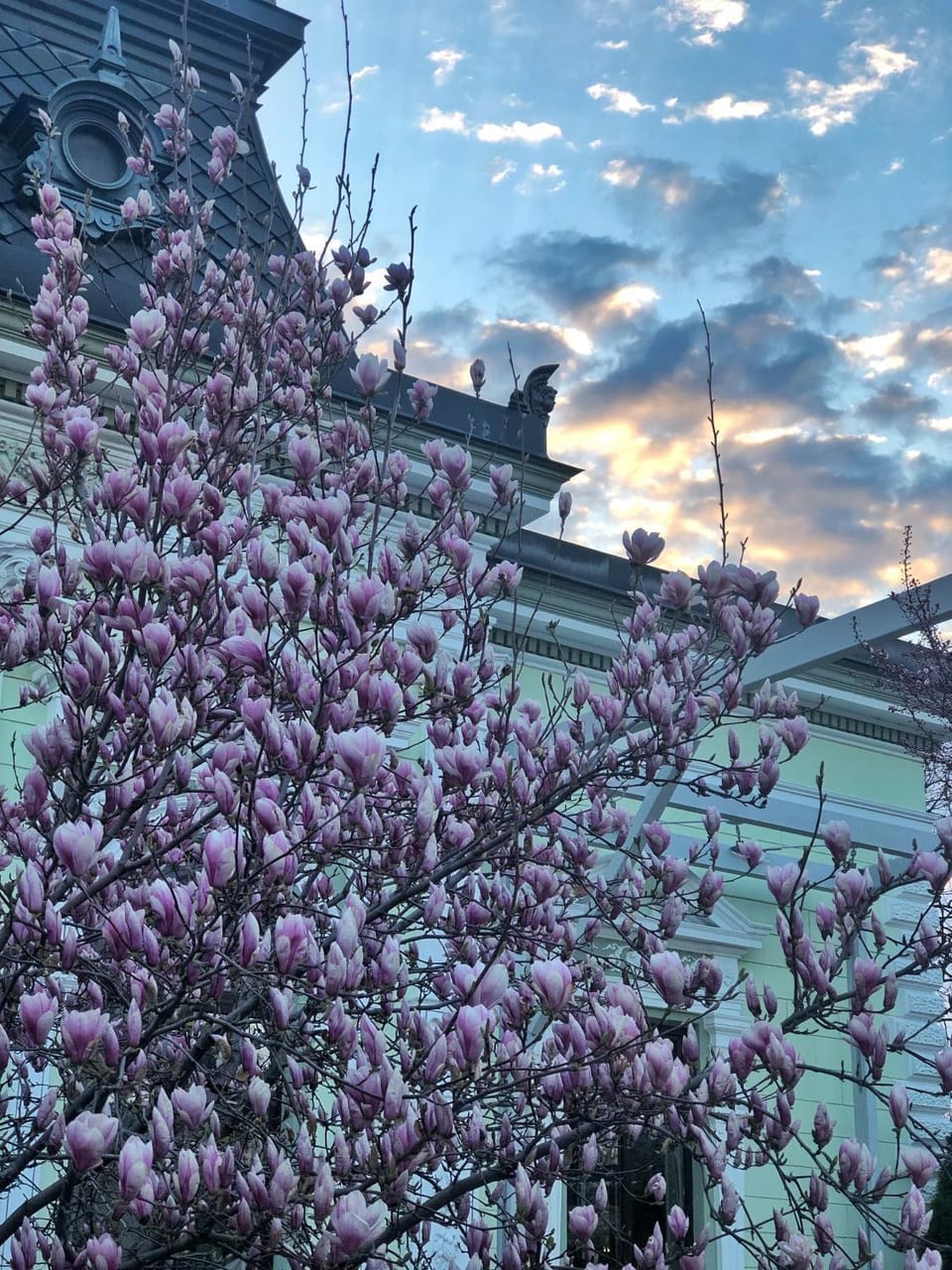 Spring, Day