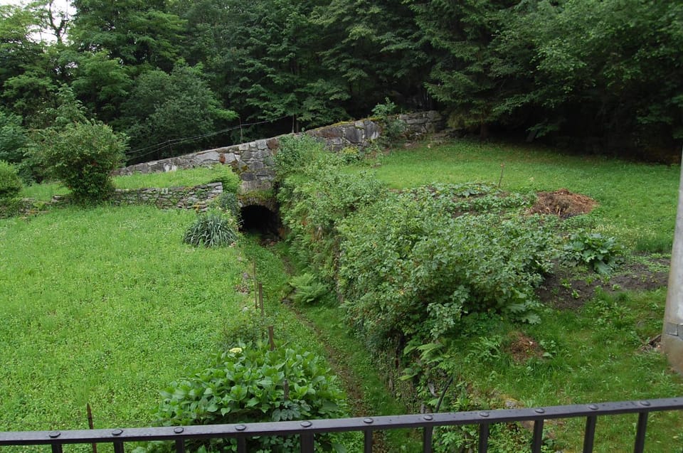 Natural landscape, Garden, Other, Garden view