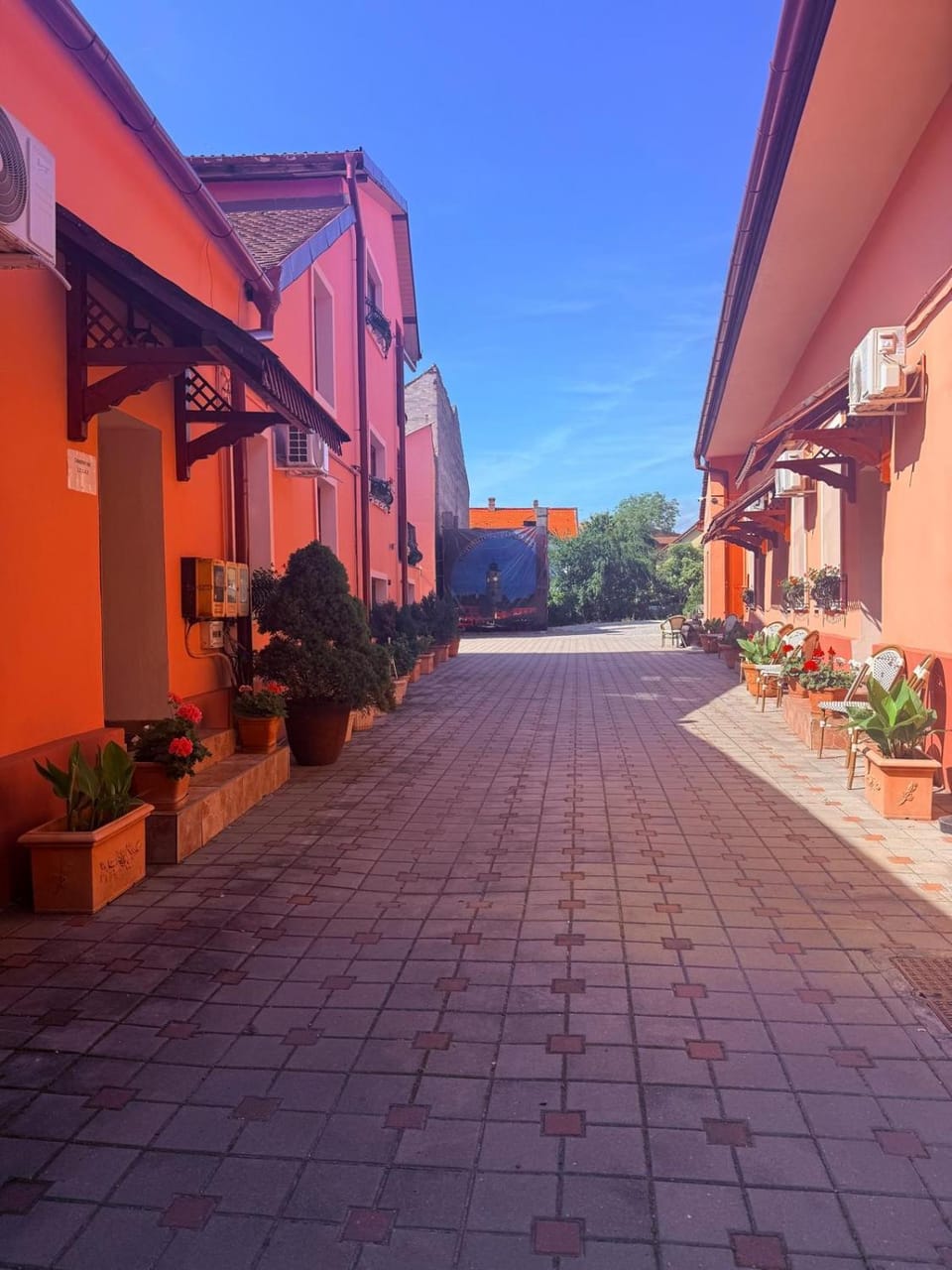Pensiunea Daniel Bed and Breakfast in Sibiu