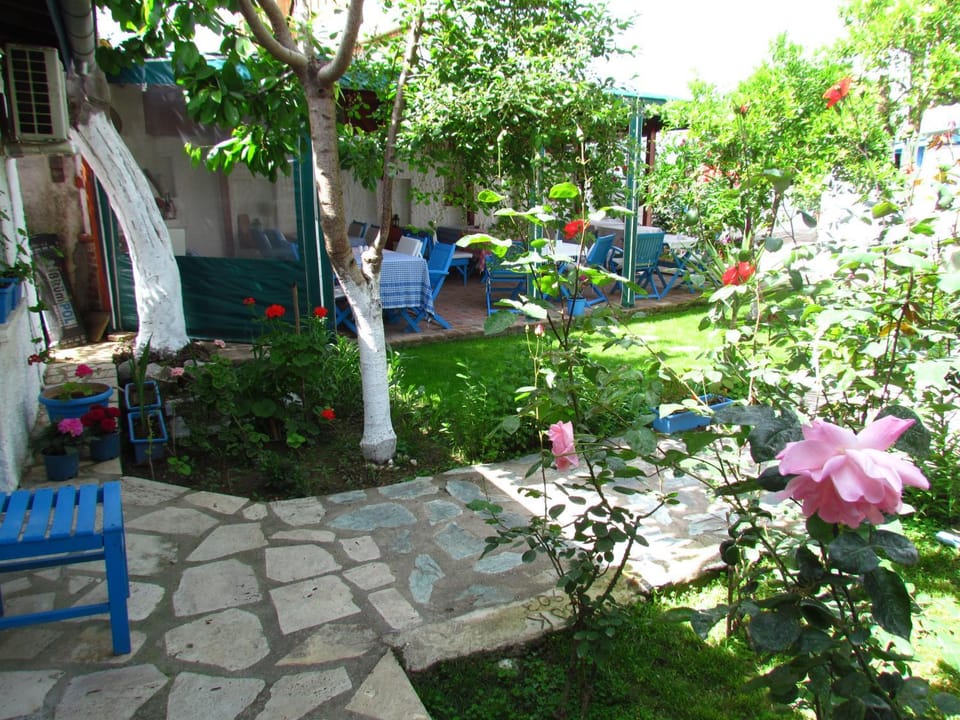 Patio, Garden