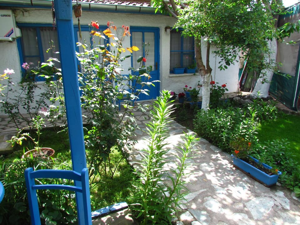 Patio, Garden