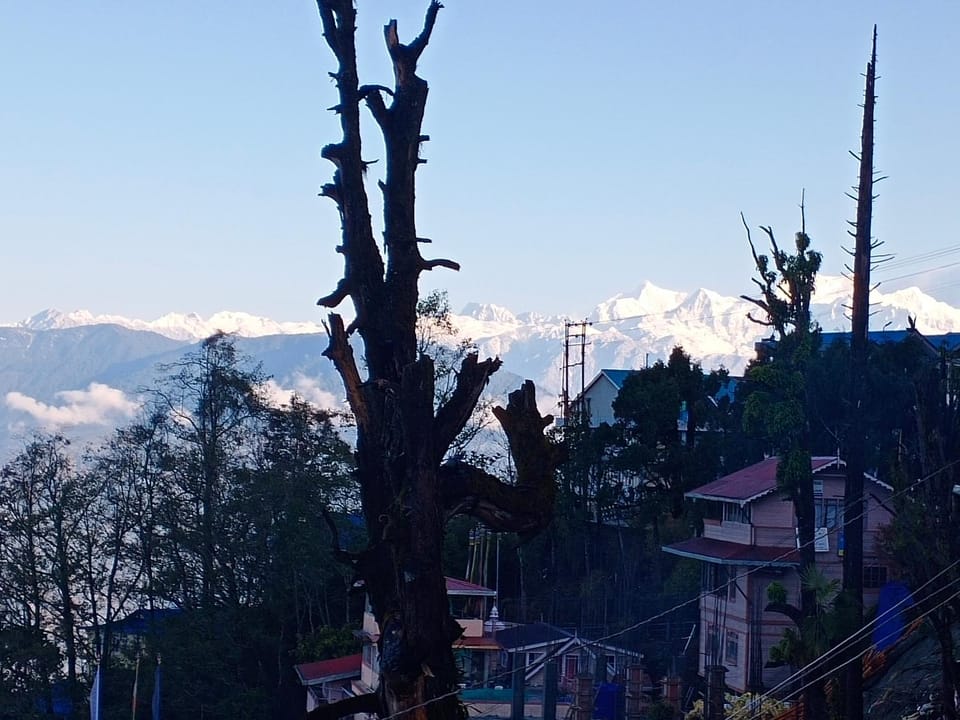Little Singamari Home Stay Bed and Breakfast in Darjeeling