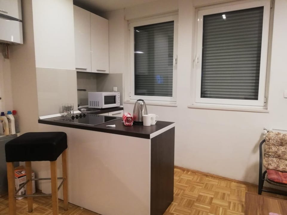 Apartments Leon Apartment in Sarajevo