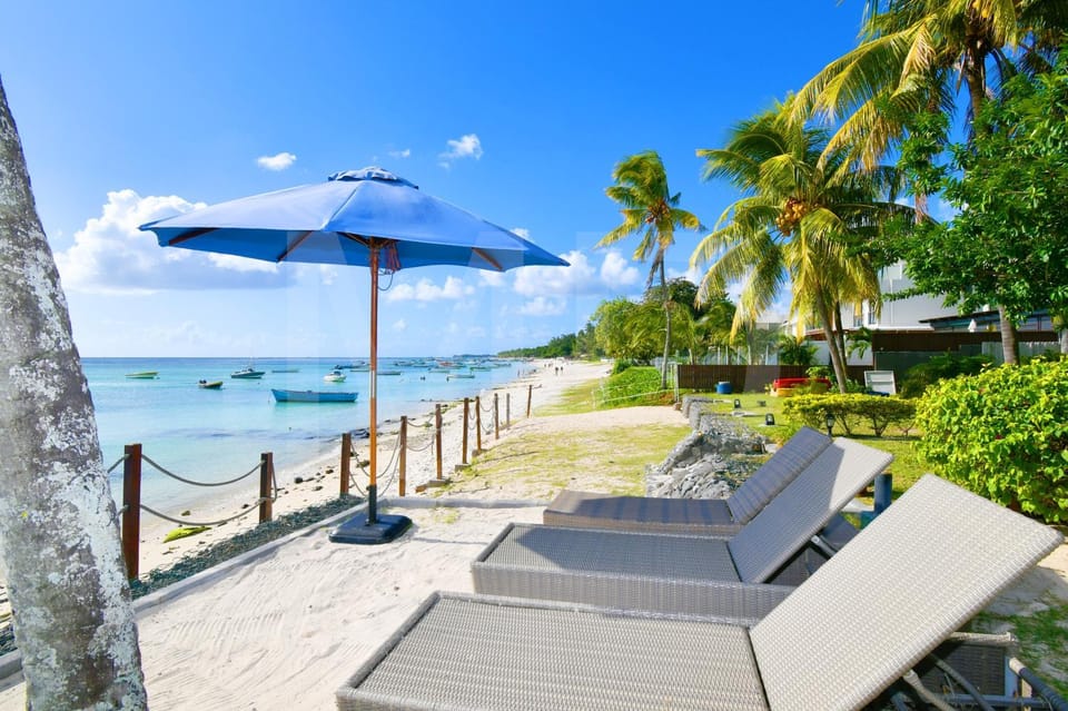 Beach, Sea view, sunbed