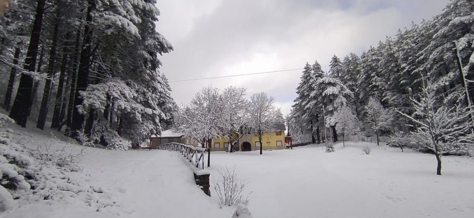 Amarantos Bed and Breakfast in North Macedonia