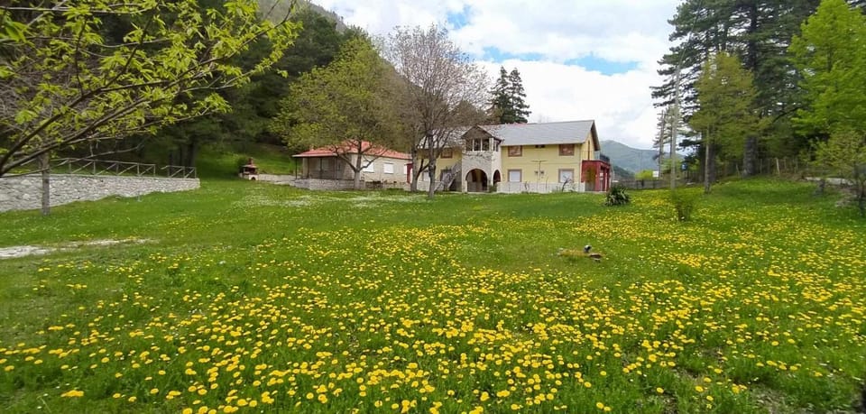 Amarantos Bed and Breakfast in North Macedonia
