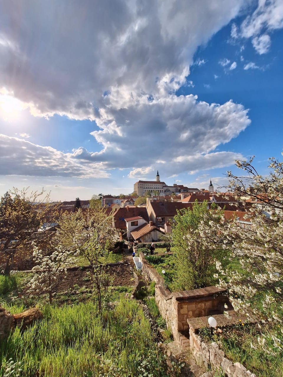 Garden, View (from property/room), City view, Landmark view