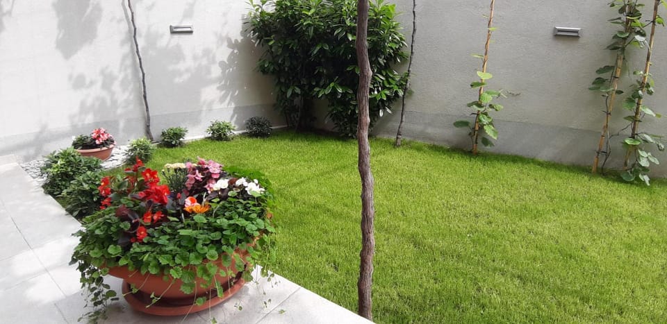 Apartment Sunce Apartment in Podstrana