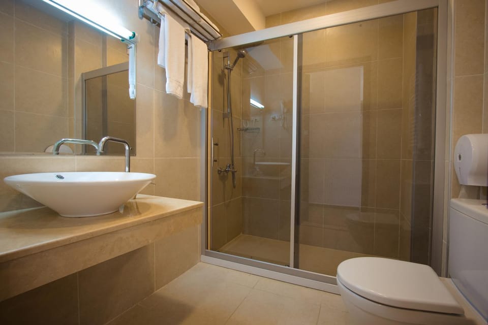 Shower, Toilet, Bathroom, towels
