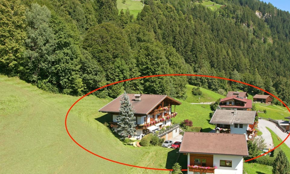 Bird's eye view, Summer