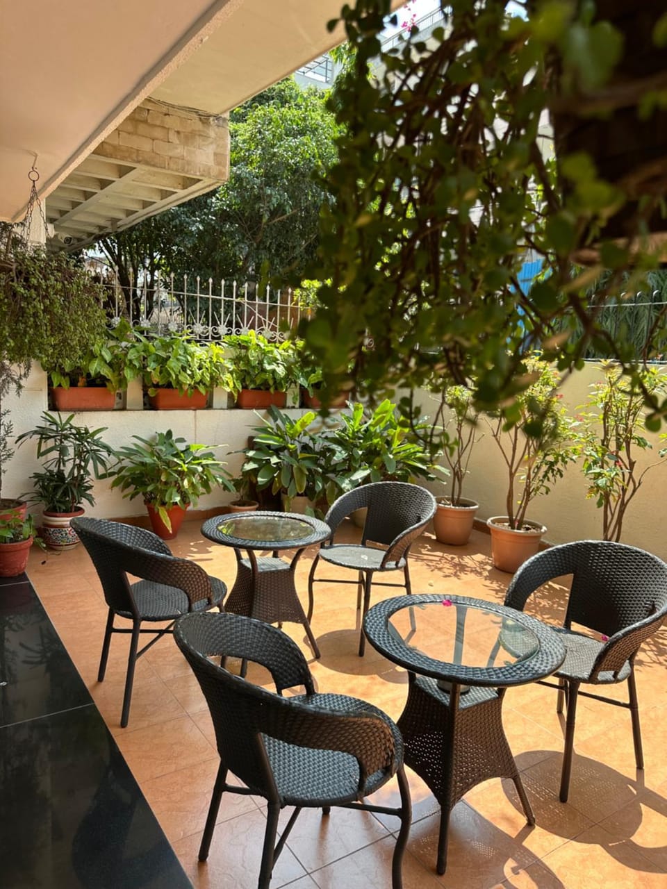 The Neem Bed and Breakfast in New Delhi