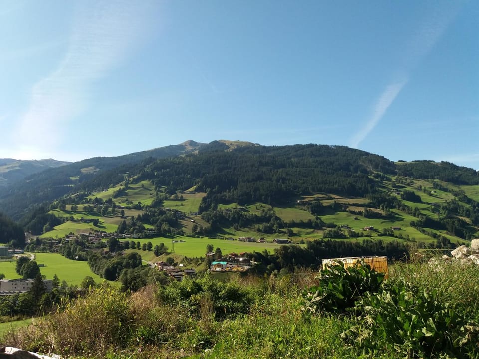 Natural landscape